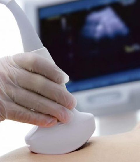 Apex:Pregnancy Level I scan / NT-NB Scan